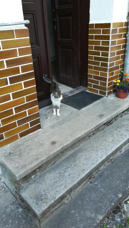 Apartamento Pronájem pokojů Belle Vue Vranov nad Dyjí Exterior foto